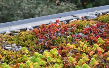 the cost of Chilcombe green roof installation