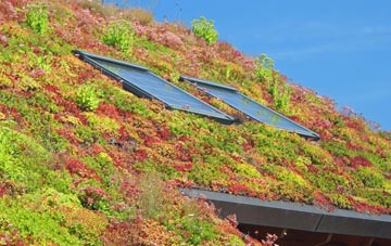 Chilcombe living roof systems